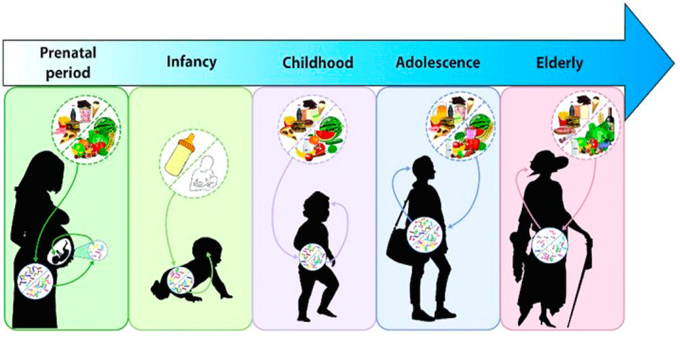 Evolución de la microbiota en función de los años
