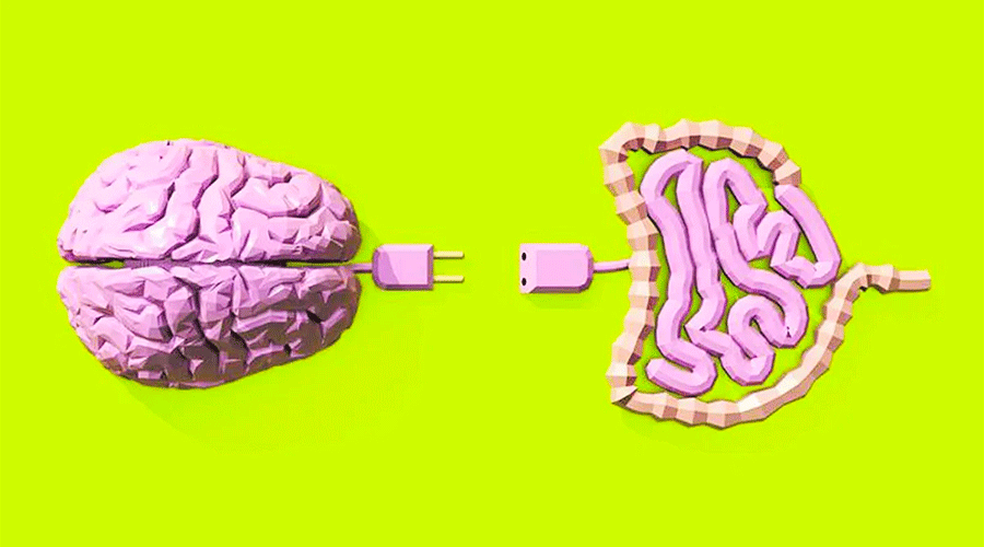 Conexión intestino-cerebro