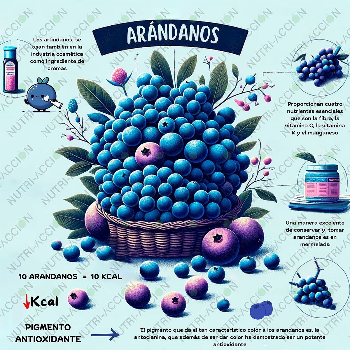 Infografía de los arándanos