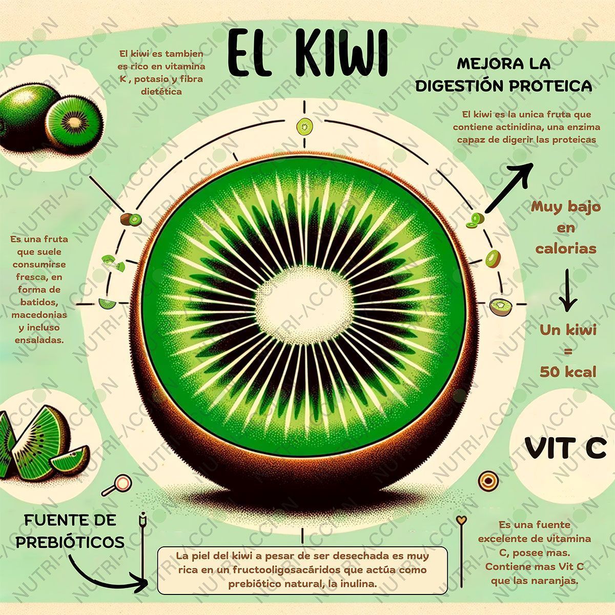 Infografía del kiwi