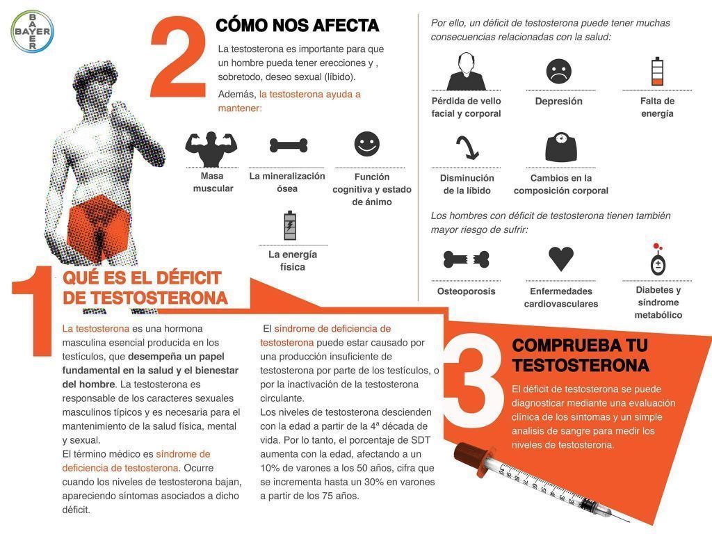 Infografía de la testosterona